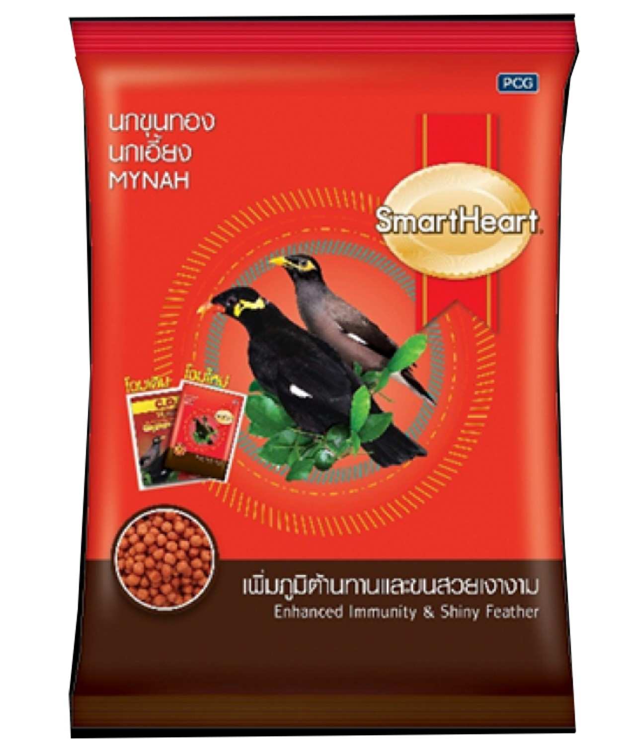 1778322639_4dfe179f7f41fa40c5a0a62f58a9713.jpeg Smart Heart Mynah (Enhanced Immunity And Shiny Feather ) - Image 1