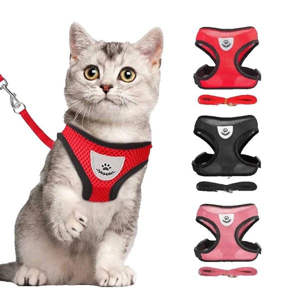 Harness Mesh Type Jacket (Boddy)