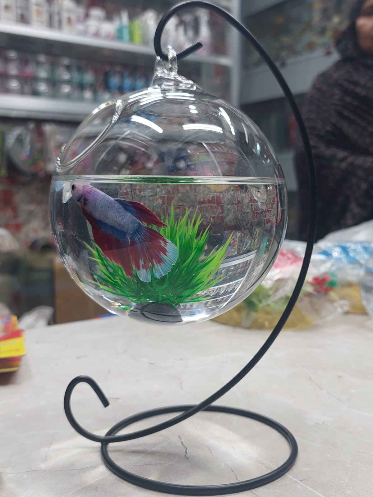 1778513972_WhatsAppImage2026-05-11at9.24.13PM.jpeg Hanging Aquarium - Image 1