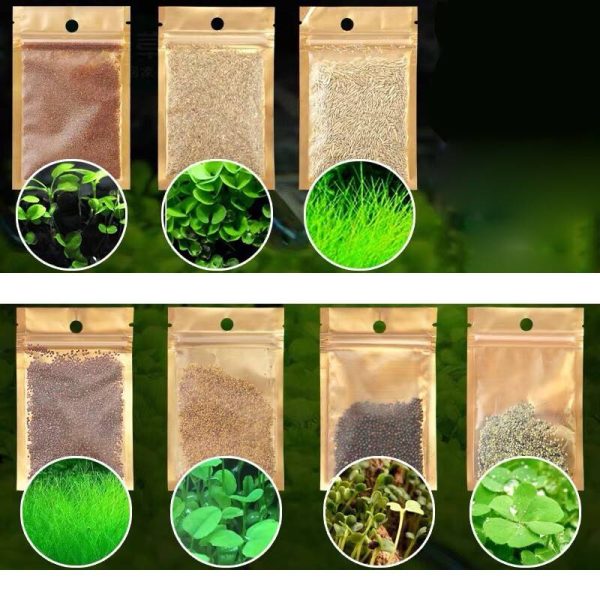 Aquatic Plant Seed Lucky Clover Grass