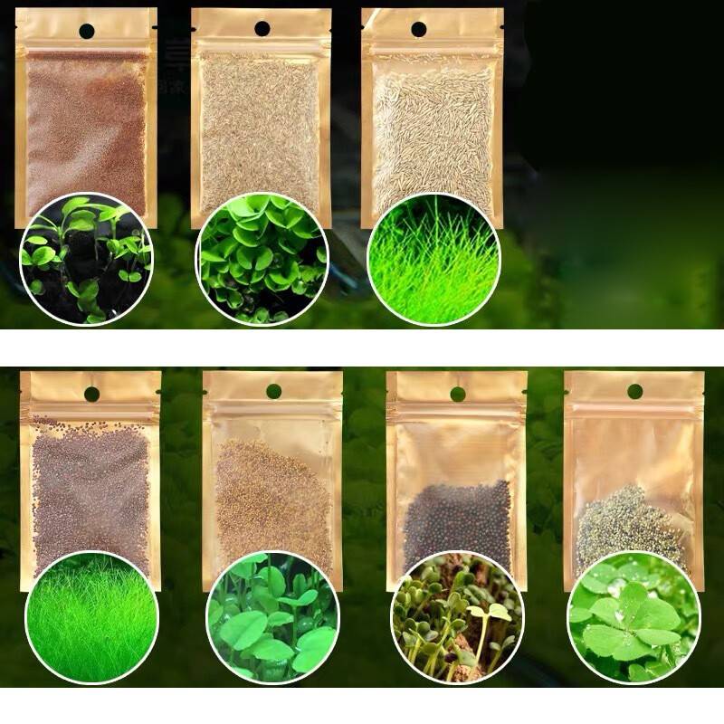1778573548_WhatsAppImage2026-05-12at2.09.33PM.jpeg Aquatic Plant Seed Lucky Clover Grass - Image 1