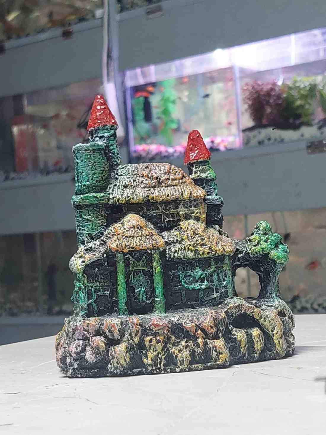 1778585621_WhatsAppImage2026-05-12at5.32.44PM.jpeg Aquarium Landscaping - Image 1