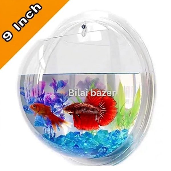Wall Mounted Aquarium Fish Bowl