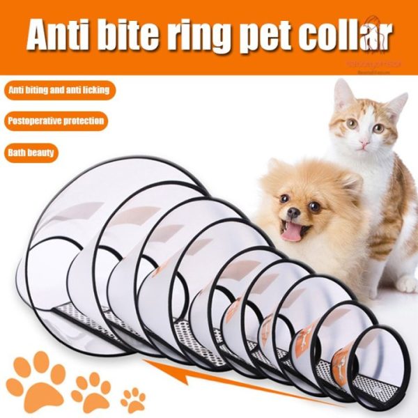Pet Collar Protection Size 5-6