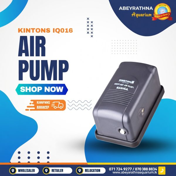 Kintons Aquarium Air Pump IQ-016