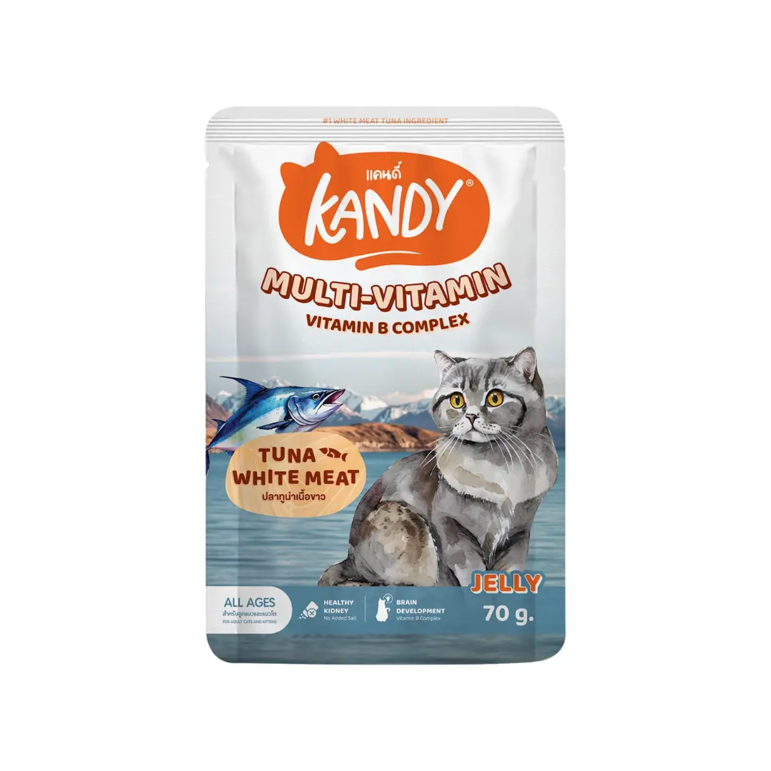 Kandy-Multivitamin Kandy MULTIVITAMIN Pouch with Vitamin B Complex & Tuna White Meat in Jelly 70g - Image 1